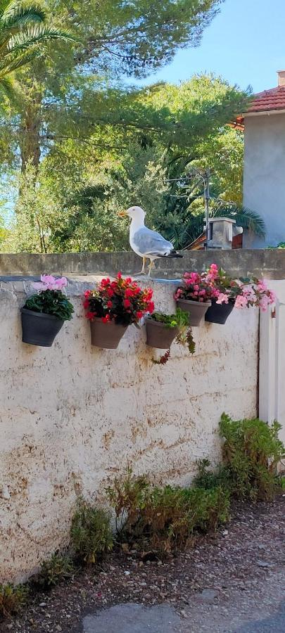 Joli Studio Les Pieds Dans L Eau Avec Place De Parking Gratuite Bandol Exterior photo